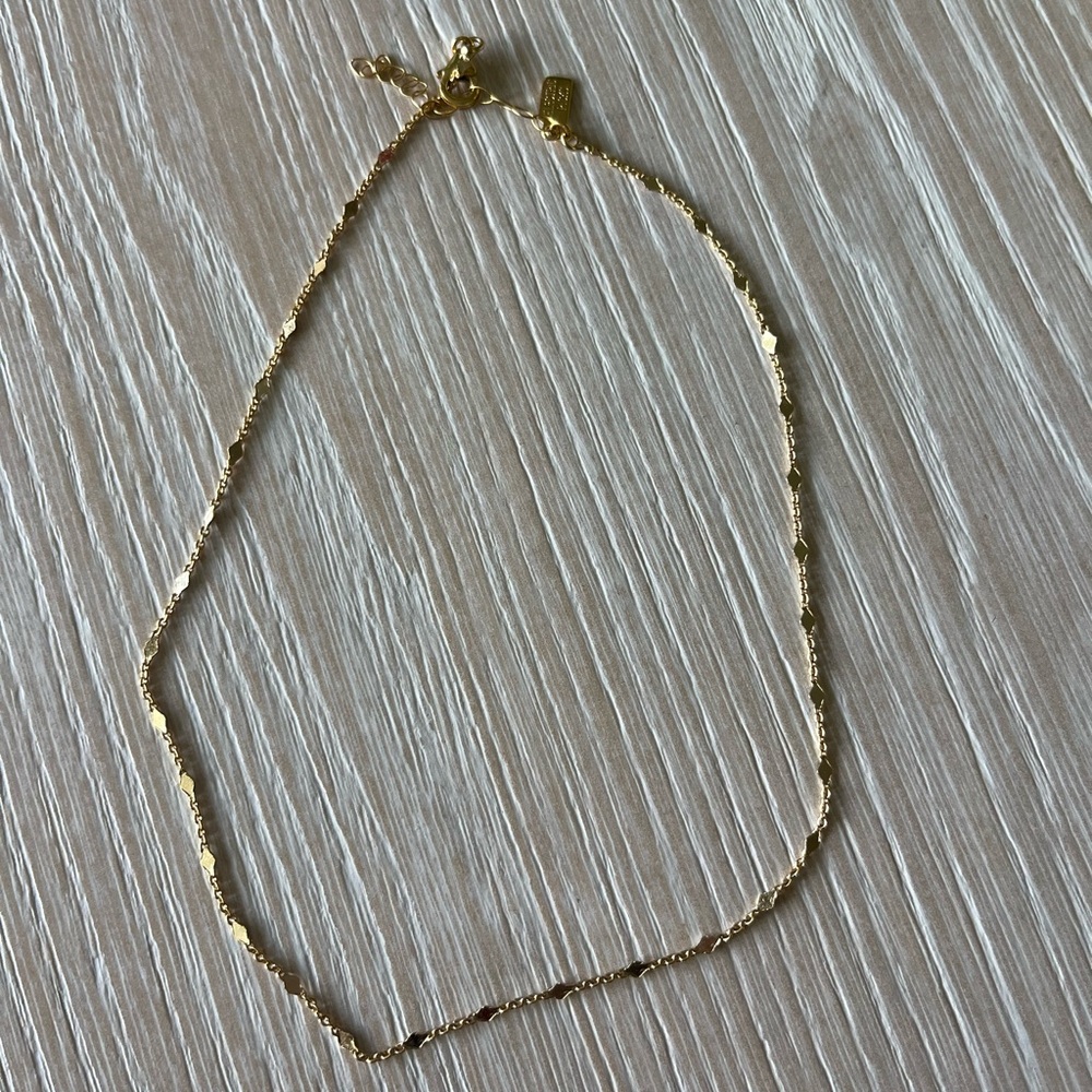 Electric Picks Necklace
